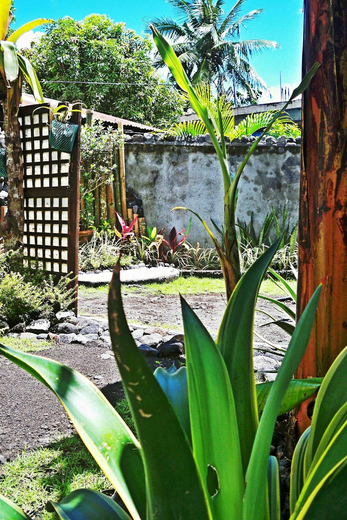 Balay De La Rama Bed & Breakfast Legazpi Exterior photo